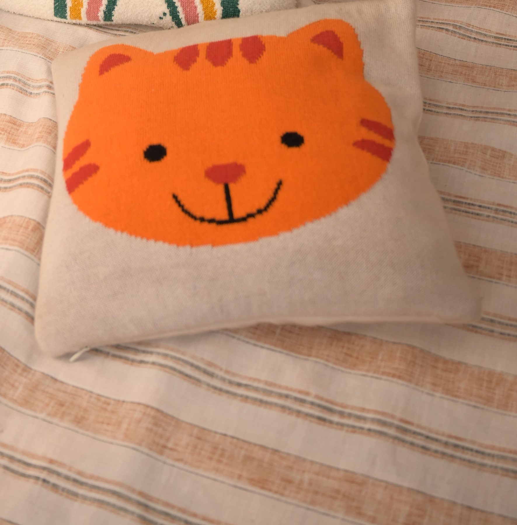 Cat Face Cushion
